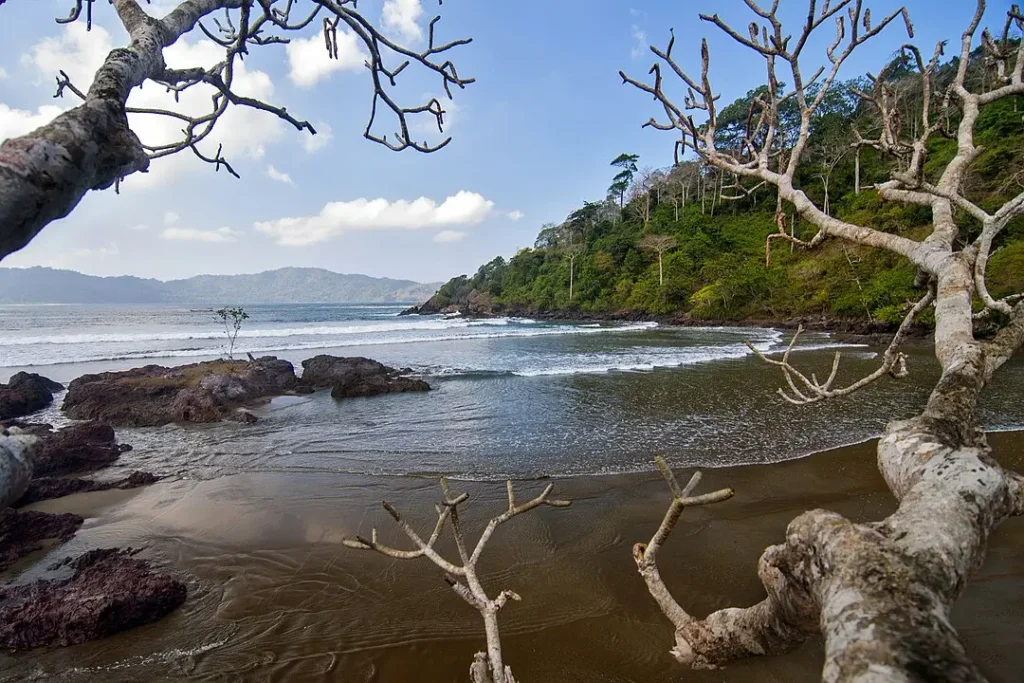 pantai rajegwesi banyuwangi